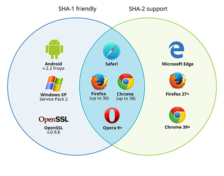 Symantec Secure Site Pro SHA-1 Private SSL